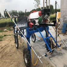 启硕机械公园树木病虫***打药机 果园树木大容量打药机 大容量远射程喷雾器