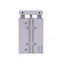 FESTO˹  DFM-25-25-30-40-100-P-A-GF