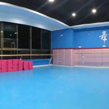 乐佑地板 定制PVC塑胶地板PVC高弹舞蹈地胶室内环保PVC地胶垫产品色彩丰富健康环保地胶
