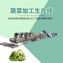 销售蔬菜加工生产线 中央厨房净菜加工成套设备 支持定制