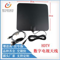 外贸室内电视天线antenna dvb-t2 F头HDTV高清数字电视接收天线