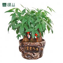 Ǯ/˷/ҵǨ/̴԰