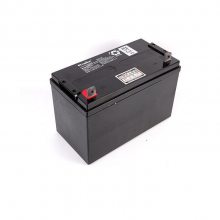ѶNETIONNP-XA1212CH 12V12AH ʱ