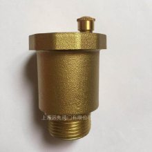 ZP88-1AA 1.6MPa 110CͭԶBSP