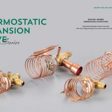 EMERSONͷEX5-U21 PCN:800 618