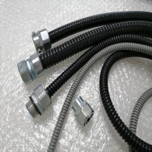 пƤƹ P3Ͱܽ8mm±±