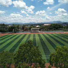 聚氨脂混合型塑膠跑道材料自結(jié)紋顆粒面新學校運動場施工建造