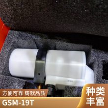 Ӵ Ӵ GSM-19TʺϵͼͿ