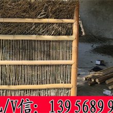 任城竹篱笆 山东省潍坊市隔离栏园林 竹栅栏表面光洁强度高
