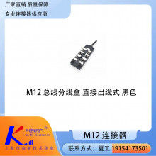工业 M12 总线分线盒 直接出线式黑色外壳 IP67 防水 PLC 信号分配盒
