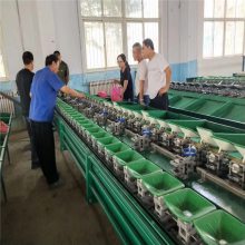 西红柿选果机供应 水果重量分级机厂家供应 一机多用