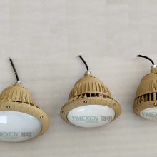 AC220V100w壁装LED防爆工矿灯 吸顶80wled防爆灯