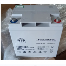 ˫Ǧطܷ6-GFM-65(C10)
