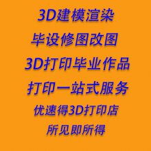 ҵ3Dӡģӹ