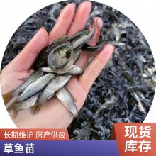 ˮ  1cm~6cmͳ ˮֳ