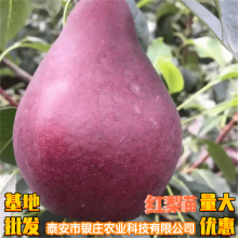 Ϲ԰ڷ3