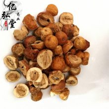 川楝子用法用量/楝实功能主治/苦楝子药用价值
