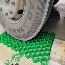 㶫ɫнֲݸݽ***