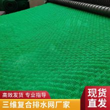 广东世杰三维复合排水网 抗拉强度高 化学性能与物理性能稳定
