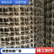 世杰 锁扣式 钢塑土工格栅 沥青路面增强路基省时省力