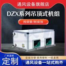 DZX8吊顶式空调机组 酒店会议厅空调器 节能环保 改善空气质量