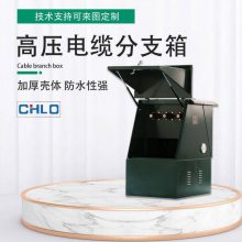 10kv电缆分支箱DFW-12高压电缆分接箱铁壳/不锈钢一进两出