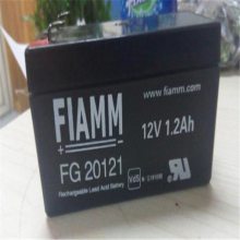 FIAMM***蓄电池FG22703 12V27AH***蓄电池含税运报价