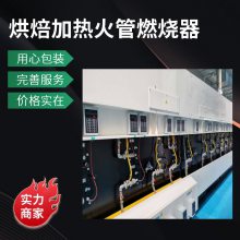 宠物食品烘焙天然气隧道炉配套燃烧器火管火排 加热均匀稳定 岱鼎