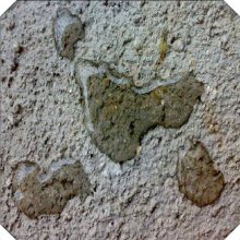 �ۺ����ǿ�ӹ�ɰ�� ����