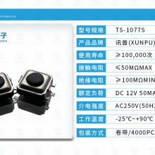 3*3*1.5/2.0ƬʽᴥTS-1077S