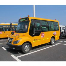 友谊牌19座小学生校车-友谊小学生校车-ZGT6561DVX型小学生校车