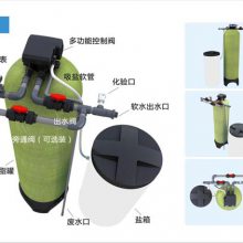 常见软化水设备类型