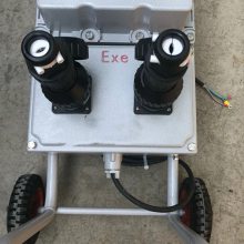 BXX52防爆配电装置具有过载 短路保护作用 防强腐蚀耐磨耐腐蚀