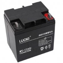 LUOKL蓄电池 MPC-1224CH 洛奇电池12V24AH 直流屏系统 UPS电源配套