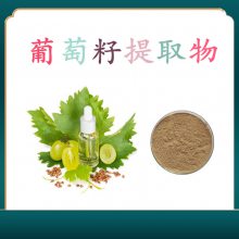 葡萄籽提取物 斯诺特生物 含税含运可拿样 花青素原料