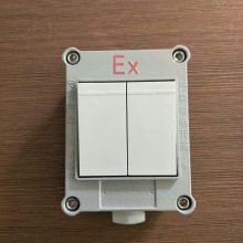 ǽڿ86AC220vص˫Ŀ