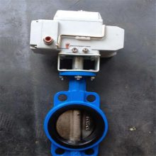 綯Ľ 綯Լе D971J-16C DN300 ͵綯ܷ