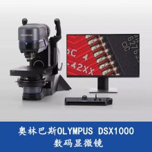 ְ˹΢DSX1000 ƵϷϵͳ Ƕȹ۲