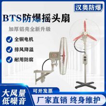 BTS-750防爆摇头扇壁挂式380V FB-500/600/750落地扇工业壁扇220V