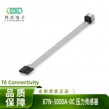 87N-3000A-0Cѹ Һѹ /ѹ ̩TE
