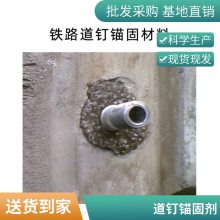 轨枕道钉锚固剂 混凝土锚固剂 螺旋道钉快速锚固 拉拔力强抗损