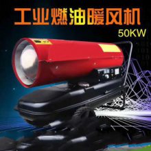 30Kw߲˴¼ů ƶʽȼů ӣҴ²ȷ