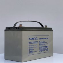 LEOCH理士蓄电池12V100AH铅酸免维护DJM12100直流屏UPS电源专用