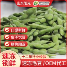 速冻毛豆25kg/袋 速冻毛豆生产厂家 速冻锁鲜冷冻毛豆荚