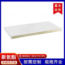 定制50mm洁净彩钢板 防火岩棉板 手工净化板吊顶