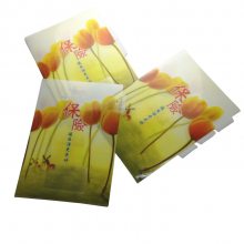 彩印pp文件夹 标签分类多页夹 插页袋 L型3-5层文件保护套 万顺定制