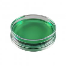ظʹýӴʿsporiorӴ55mm