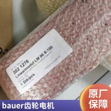 Bauer小型工业减速电机BS06-44V/D08LA4/SP