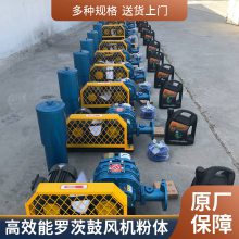 三叶罗茨风机 水泥厂窑头罗茨鼓风机 反冲洗风机