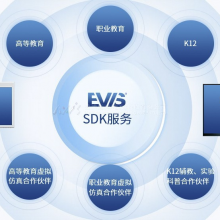 EVIS S090 L028 28Ӣ罻ʽ3DXRʾ